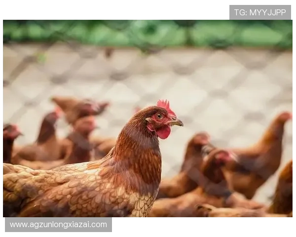 尊龙app登录遇到问题怎么办？全面解决登录难题的实用技巧推荐